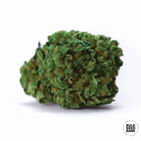 OG KUSH